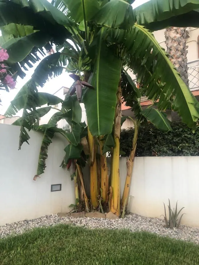 Dependance Reale Apartment Capo d'Orlando Homestay